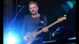sting